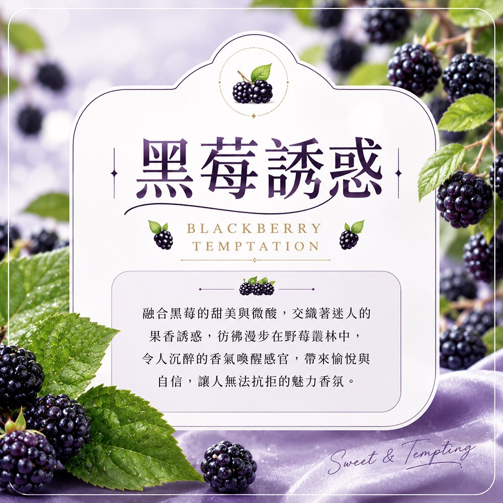 【QIDINA】SGS MIT加大除濕除臭防霉珪藻土香氛包 / 香氛 除臭 防霉 硅藻土 香包 婚禮小物-黑莓誘惑