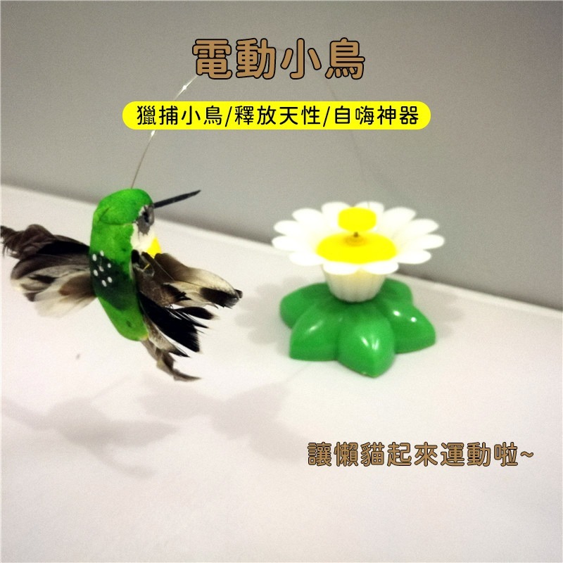  【珮慈星系】蜂鳥玩具 電動玩具 互動玩具 玩具 寵物玩具 鳥玩具 旋轉玩具 貓咪玩具 狗玩具-細節圖2