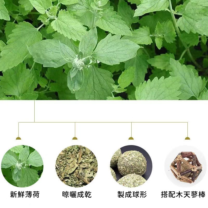 【珮慈星系】木天蓼玲瓏球 貓咪磨牙玩具 貓草 木天蓼 磨牙 貓草球 木天蓼粉 貓草玩具 貓薄荷 玲瓏球-細節圖8