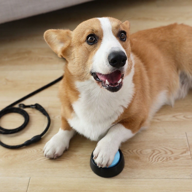 【珮慈星系】寵物玩具 寵物交流器 狗狗按鈴 寵物訓練鈴 寵物交流按鈕 自由錄音 狗狗發聲盒 訓練說話玩具錄音發聲器-細節圖2