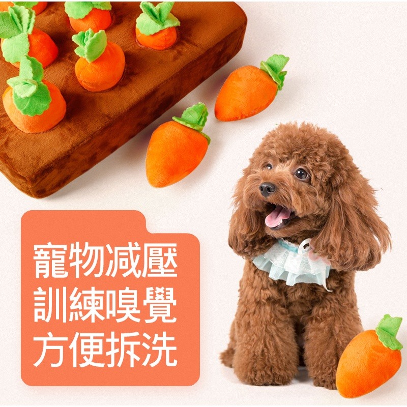 【珮慈星系】拔蘿蔔 蘿蔔寵物玩具 狗玩具 拔蘿蔔 嗅聞益智玩具 胡蘿蔔 拔出蘿蔔吃到 菜園 紅蘿蔔玩具 蘿蔔-細節圖2