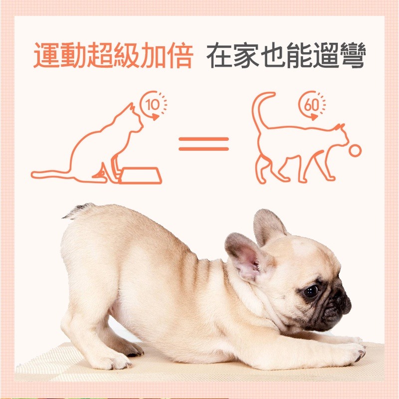 【珮慈星系】拔蘿蔔 蘿蔔寵物玩具 狗玩具 拔蘿蔔 嗅聞益智玩具 胡蘿蔔 拔出蘿蔔吃到 菜園 紅蘿蔔玩具 蘿蔔-細節圖3