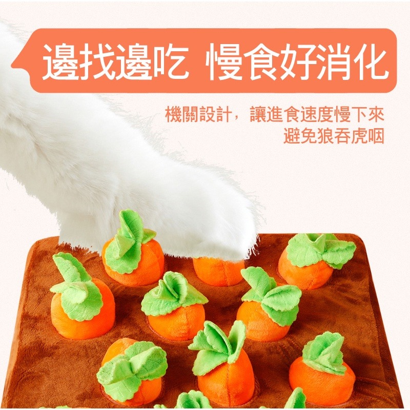 【珮慈星系】拔蘿蔔 蘿蔔寵物玩具 狗玩具 拔蘿蔔 嗅聞益智玩具 胡蘿蔔 拔出蘿蔔吃到 菜園 紅蘿蔔玩具 蘿蔔-細節圖5