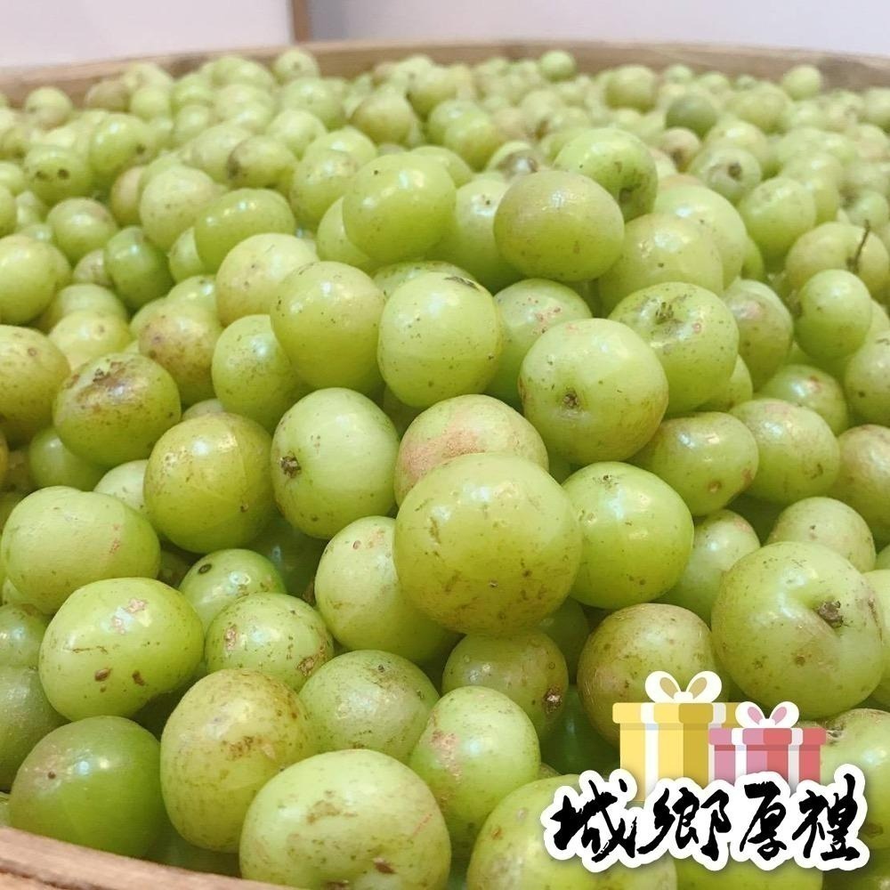 【園林春】有機種植油甘鮮果(冷藏配送)-細節圖3