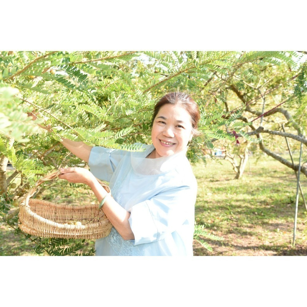 【園林春】有機種植油甘鮮果(冷藏配送)-細節圖4