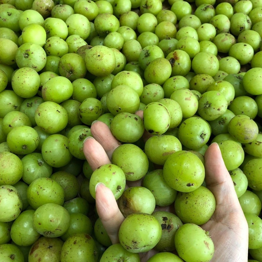 油甘好-果粉 300公克-細節圖2