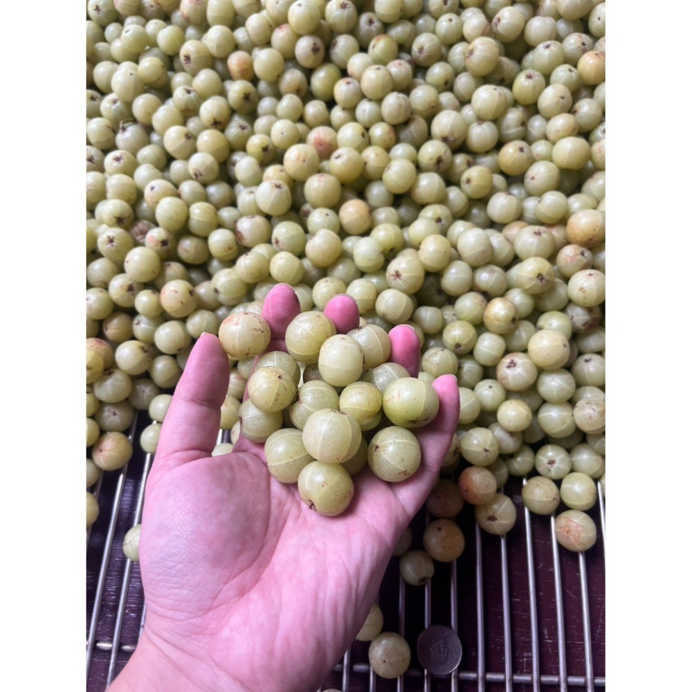 手作漬釀油甘果-細節圖3