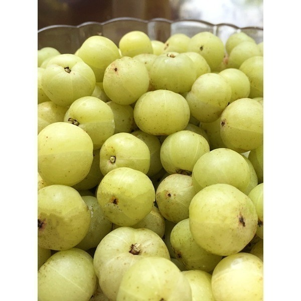 [心玥林]醬油三入組免運優惠只到2026/12/31-細節圖2