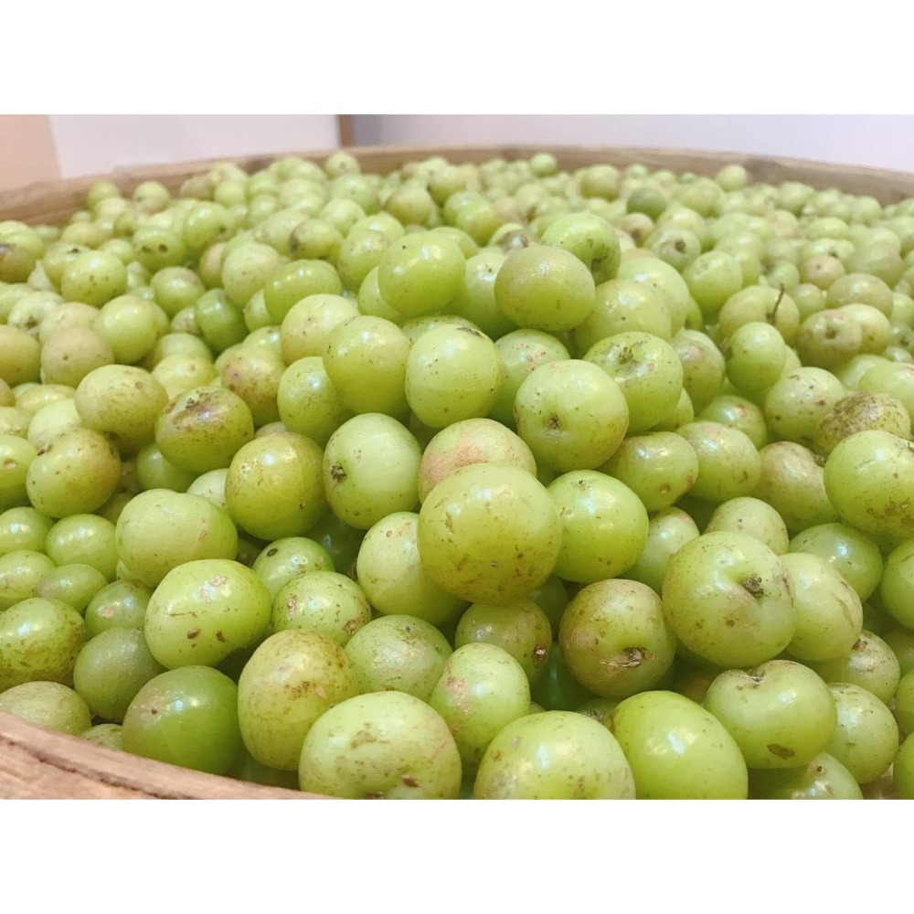 心玥林X小栗所[包種茶油甘果司康]-細節圖3
