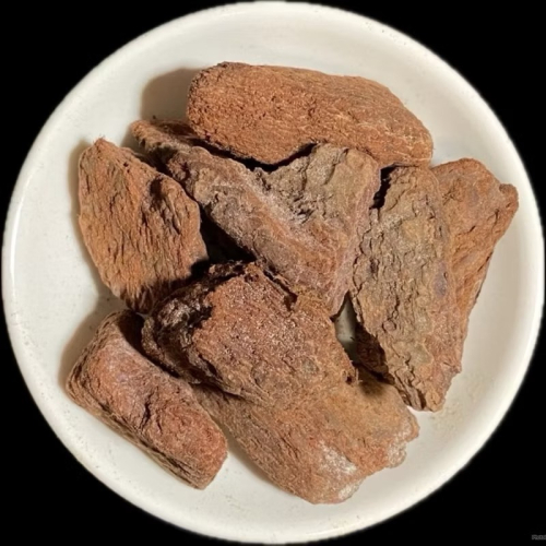 《萬物生長》天然樹皮 松樹皮 小木塊 小樹皮 鼠婦 昆蟲 節肢 爬蟲類 躲藏 底材 墊材 園藝 植物 生態 造景 - 萬物生長 - iOPEN ...