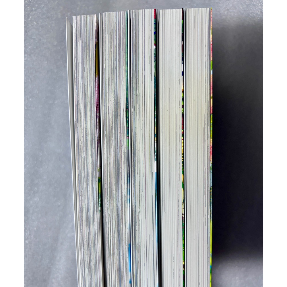 【極新】ある日、お姫様になってしまった件について 1-5｜某天成為公主 Spoon 日文版-細節圖4