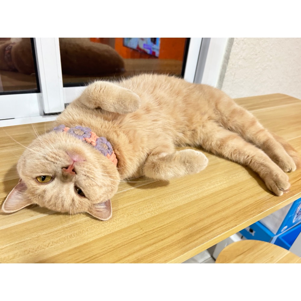 手工編織 掛繩-細節圖5