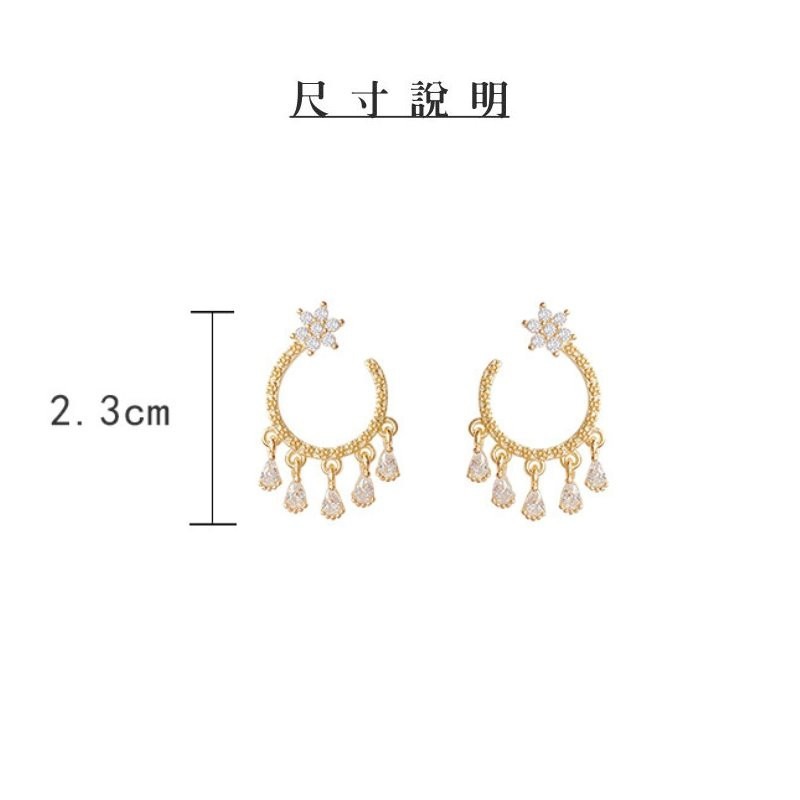 耳環 輕奢華風 微鑲工藝 迷人流蘇 增添風采 S925銀耳針＊花漾美人＊嚴選-細節圖9