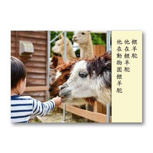 句型擴展延伸卡(真人照)語言、句型、ABA/句型延伸/句型擴展/啟蒙圖卡/學前溝通/語言學習/造句-細節圖4