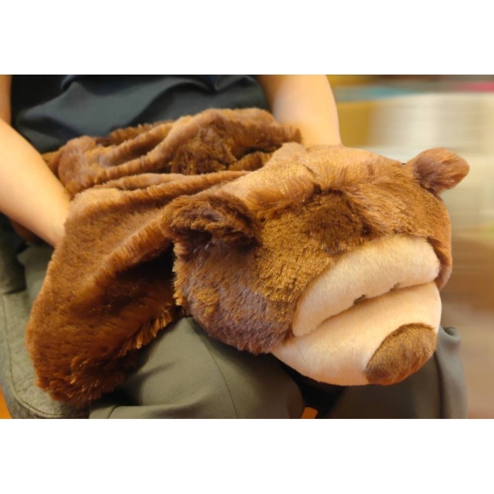 重力加重泰迪熊玩偶(附手提包) | 加重可愛玩偶(2.3公斤) | 用於感覺障礙、自閉症、過動症、緩和焦慮壓力的膝上玩偶-細節圖3