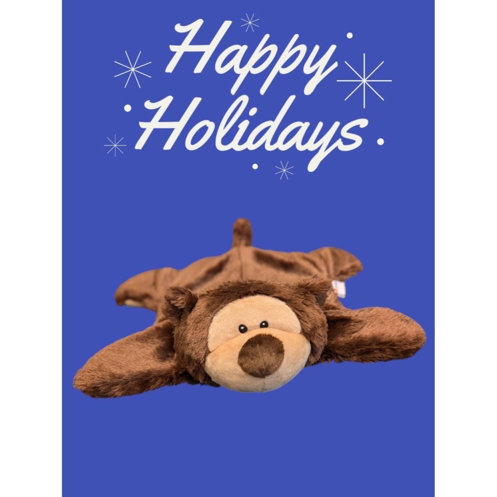 重力加重泰迪熊玩偶(附手提包) | 加重可愛玩偶(2.3公斤) | 用於感覺障礙、自閉症、過動症、緩和焦慮壓力的膝上玩偶-細節圖4