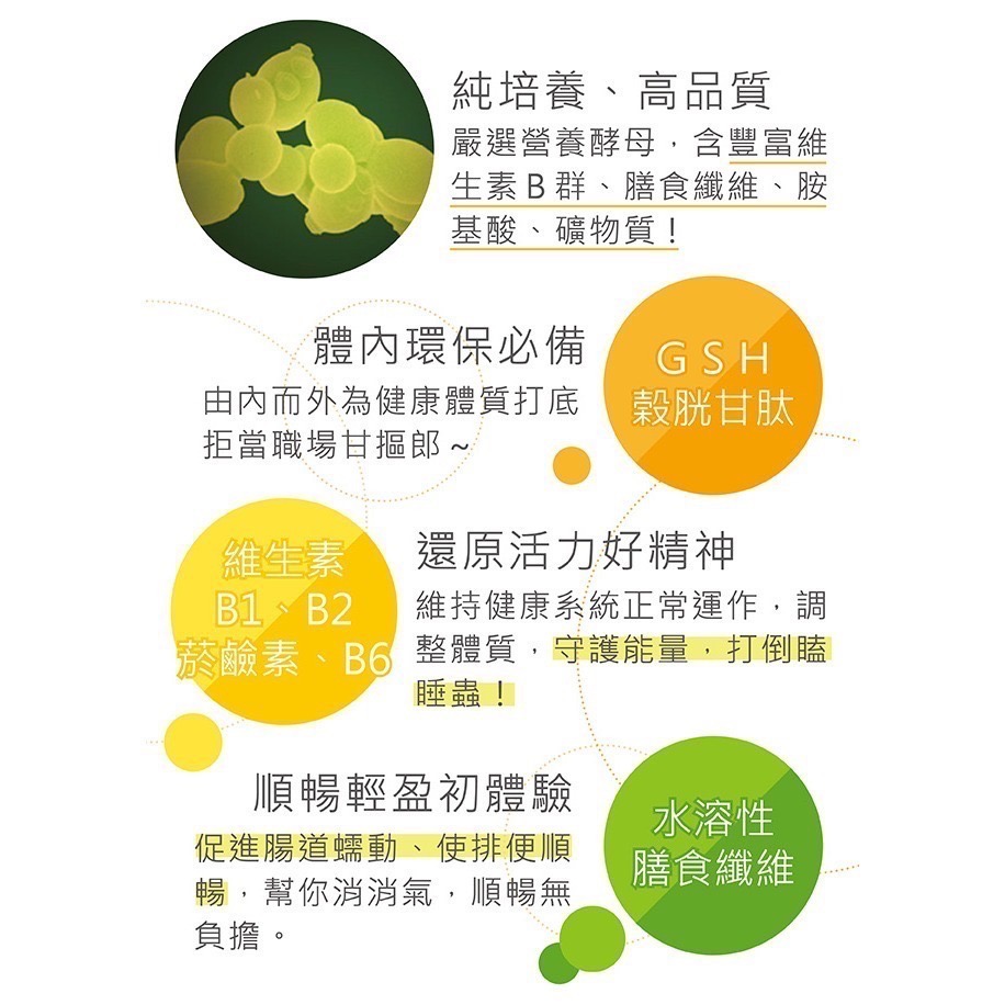 【布緯食聊】會昌鷹記維他 酵母薄片-細節圖5