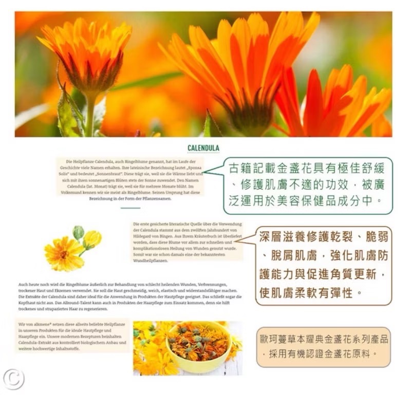 ［歐洲熱銷］～德國 alkmene 歐珂蔓～金盞花密集滋養護手 霜75ml-細節圖3