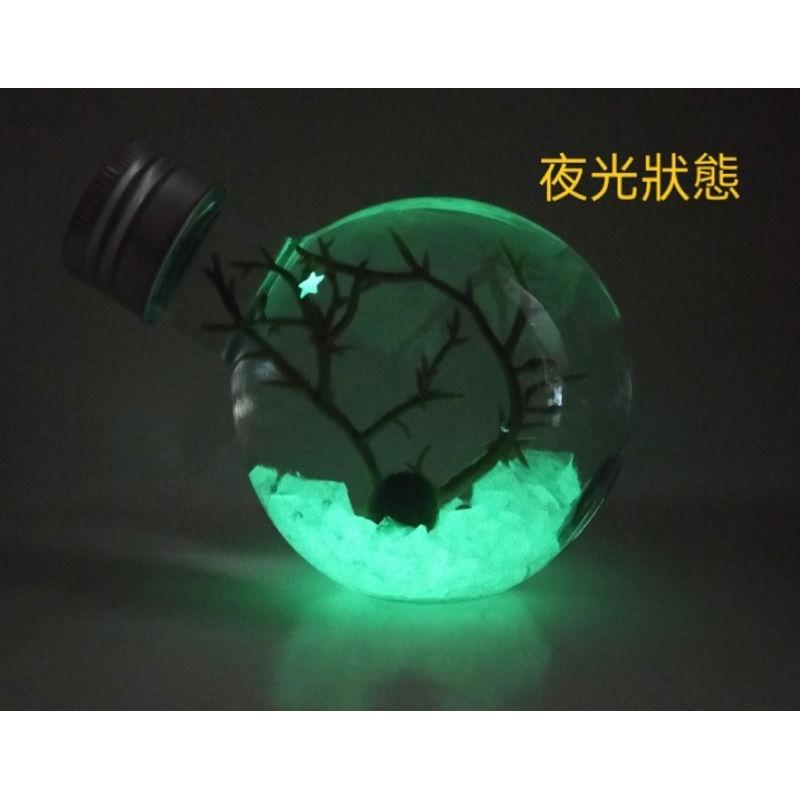 夜光藻球瓶 藻球瓶 懶人療癒小物 居家裝飾 辦公室療癒小物 交換禮物 畢業禮物 親子DIY 團體禮物-細節圖2