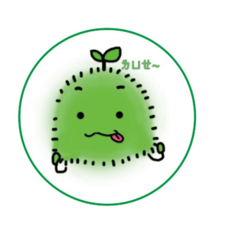 藻球 綠藻球 海藻球 水藻球 水藻 療癒 辦公室裝飾 可愛貼紙 手帳貼紙 圓貼紙 創意貼紙 搞笑貼紙 手繪貼紙 包裝貼紙-細節圖2