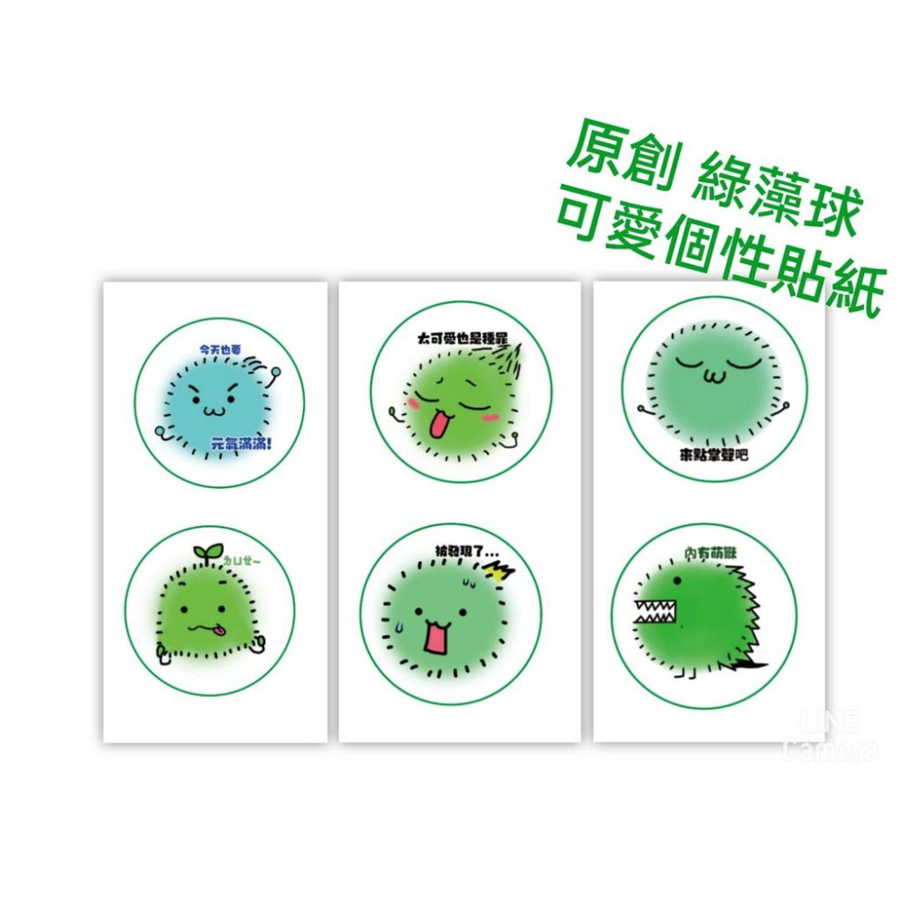 藻球 綠藻球 海藻球 水藻球 水藻 療癒 辦公室裝飾 可愛貼紙 手帳貼紙 圓貼紙 創意貼紙 搞笑貼紙 手繪貼紙 包裝貼紙-細節圖3