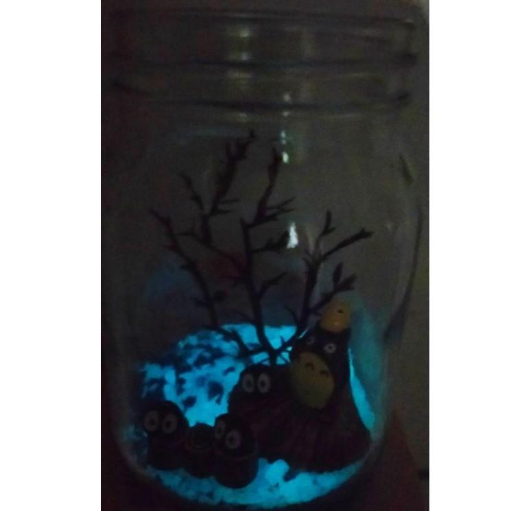 療癒小物 夜光 綠藻球 綠球藻 微景觀生態瓶 畢業禮物 情人節 交換禮物 生日禮物 畢業禮物 聖誕禮物 禮物-細節圖2