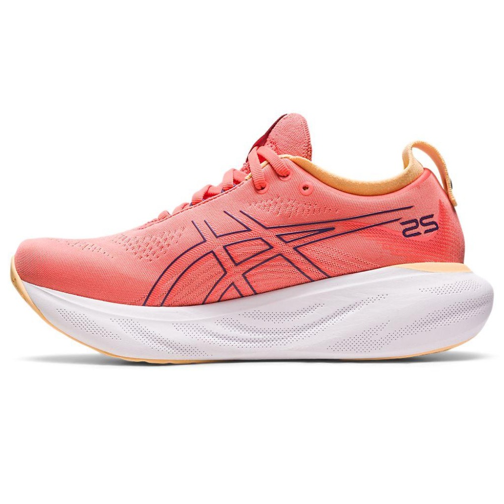 ASICS女鞋🏓🏐⚽️乒冠體育🏸⚾️🏓 寬楦(D) GEL-NIMBUS 25 跑鞋