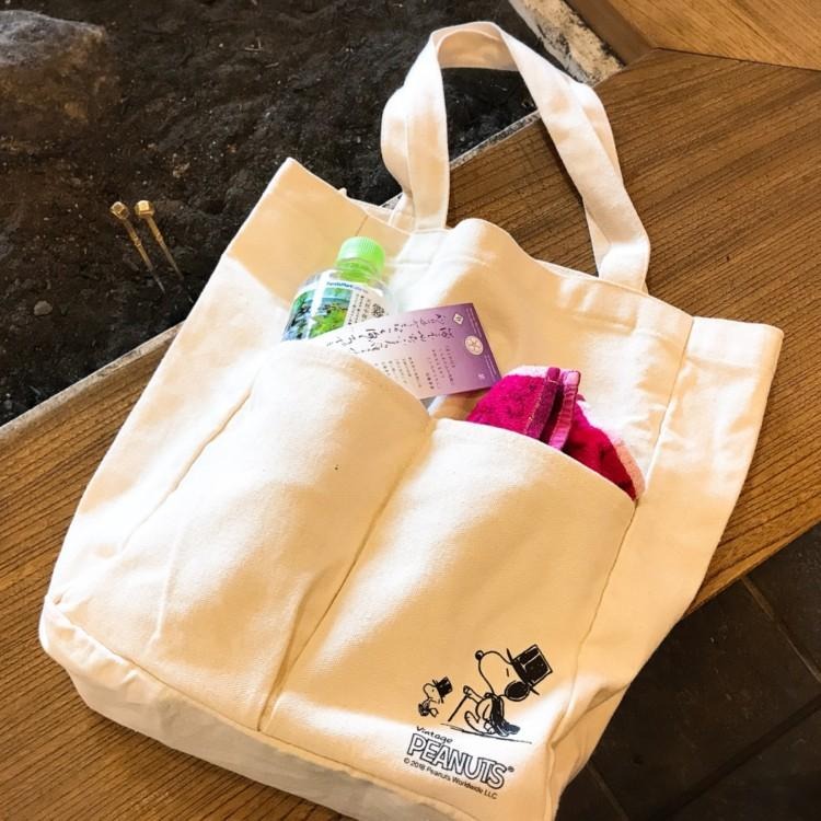 袋我走【日雜附錄 SNOOPY 史努比/音樂家/可愛帆布包/大容量單肩包】-細節圖4