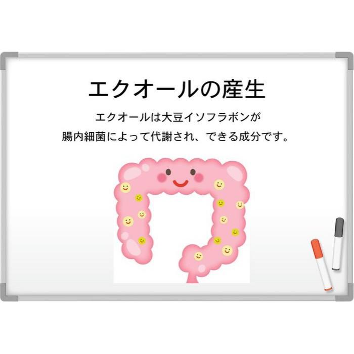 《現貨》日本境內版 DHC 大豆異黃酮 雌馬酚 PLUS 加強版 20日份 日本代購-細節圖3