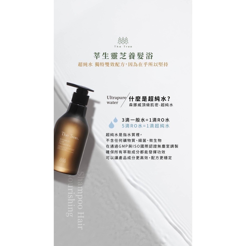 【買一送一 送隨機隨身瓶】昆凌代言莘生靈芝養髮浴｜養髮屆天花板【網路熱搜TOP1】｜引爆你的刻板印象｜森呼吸茉本森挪威-細節圖3