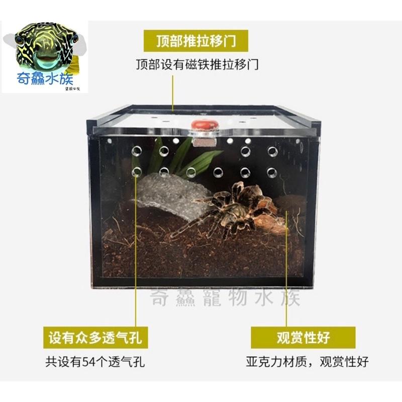 【壓克力爬蟲飼養盒】小爬蟲 守宮 蜘蛛 玉米蛇 角蛙 小昆蟲 磁吸 黑/透/橘-細節圖3