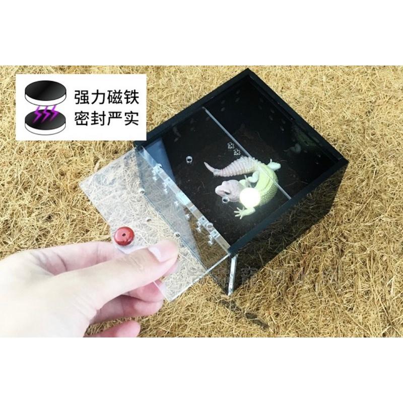 【壓克力爬蟲飼養盒】小爬蟲 守宮 蜘蛛 玉米蛇 角蛙 小昆蟲 磁吸 黑/透/橘-細節圖4