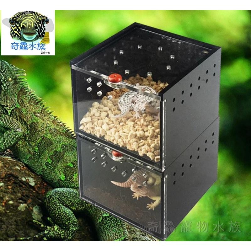 【壓克力爬蟲飼養盒】小爬蟲 守宮 蜘蛛 玉米蛇 角蛙 小昆蟲 磁吸 黑/透/橘-細節圖5