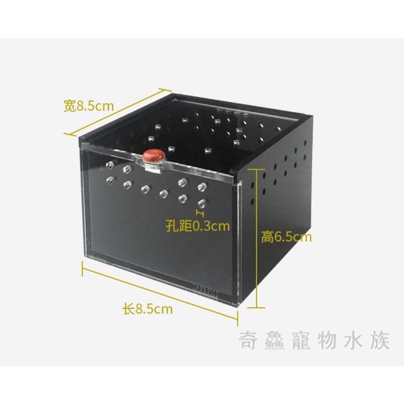 【壓克力爬蟲飼養盒】小爬蟲 守宮 蜘蛛 玉米蛇 角蛙 小昆蟲 磁吸 黑/透/橘-細節圖6
