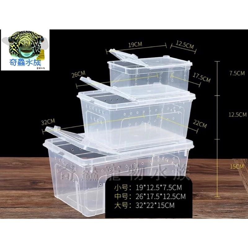 奇鱻水族【透明飼養盒】M、L ，-細節圖2