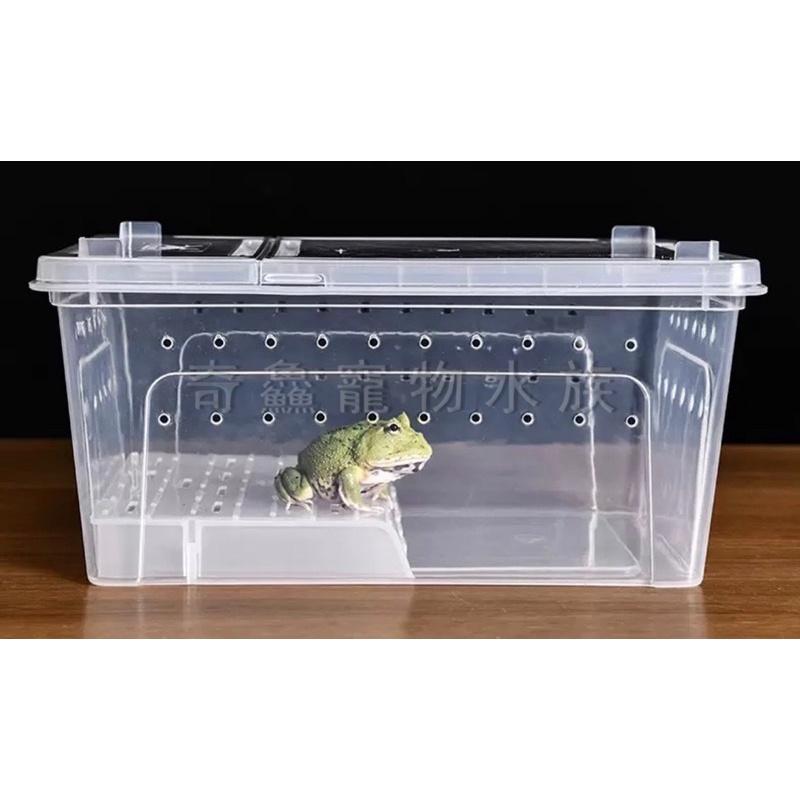 奇鱻水族【乾濕分離飼養盒】M、L、XL，角蛙飼養 守宮 螃蟹 蠑螈 昆蟲 爬蟲 小寵物 角蛙飼養盒 爬蟲盒 昆蟲盒-細節圖3