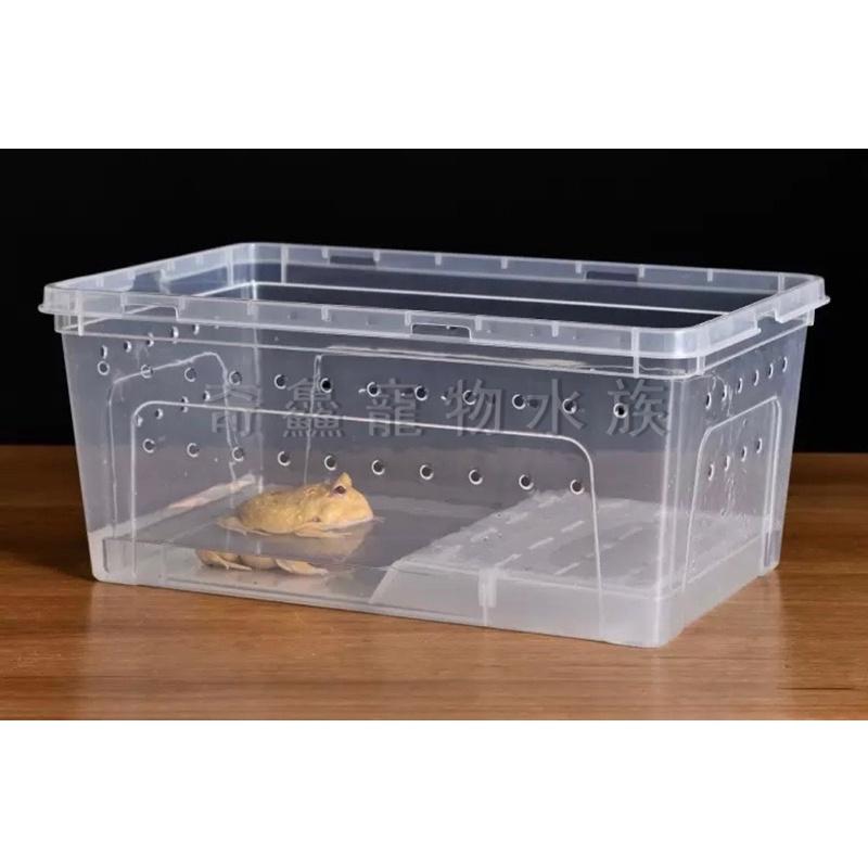 奇鱻水族【乾濕分離飼養盒】M、L、XL，角蛙飼養 守宮 螃蟹 蠑螈 昆蟲 爬蟲 小寵物 角蛙飼養盒 爬蟲盒 昆蟲盒-細節圖4
