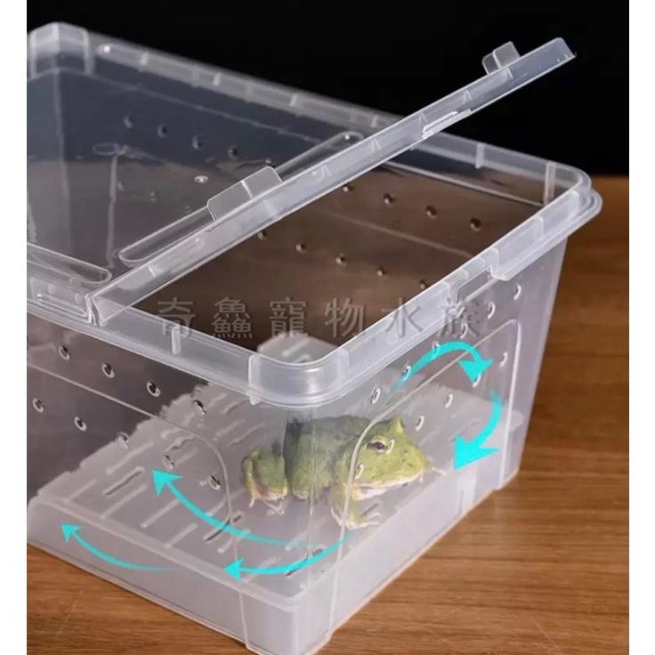 奇鱻水族【乾濕分離飼養盒】M、L、XL，角蛙飼養 守宮 螃蟹 蠑螈 昆蟲 爬蟲 小寵物 角蛙飼養盒 爬蟲盒 昆蟲盒-細節圖5