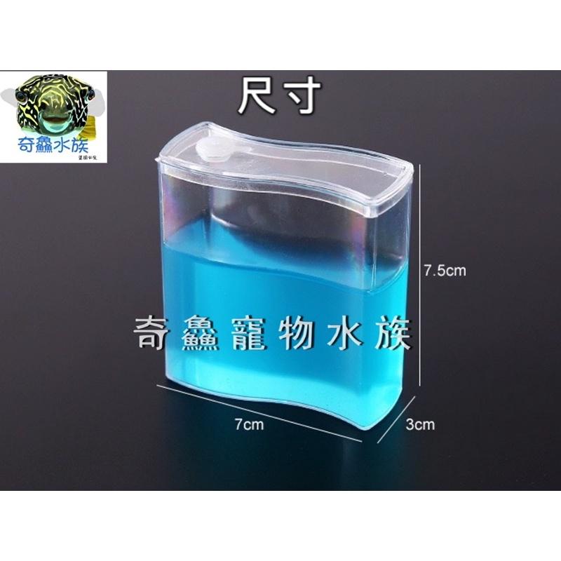 奇鱻水族【螞蟻小工坊】螞蟻生態 觀察螞蟻 螞蟻窩 自然科學 創意玩具 興趣培養-細節圖2