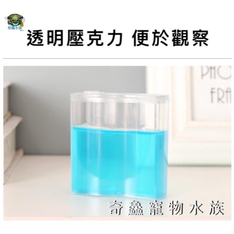 奇鱻水族【螞蟻小工坊】螞蟻生態 觀察螞蟻 螞蟻窩 自然科學 創意玩具 興趣培養-細節圖3