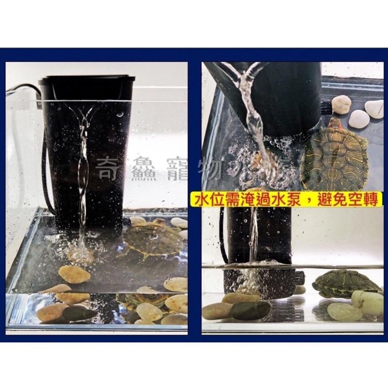 【低水位過濾器】適合烏龜飼養過濾 低水位過濾 角蛙飼養 兩棲類 淨水 過濾 增氧水流-細節圖2