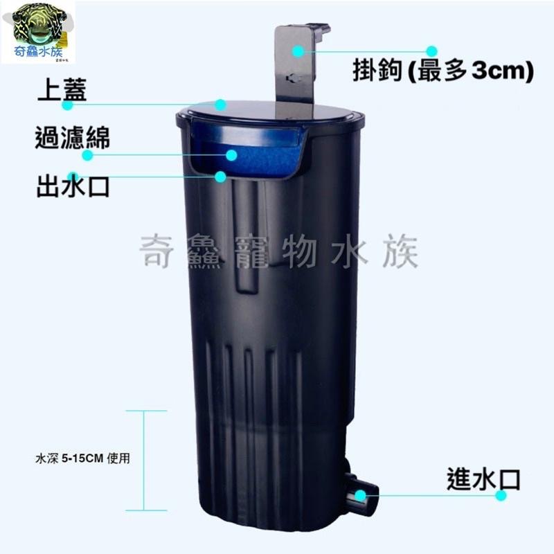 【低水位過濾器】適合烏龜飼養過濾 低水位過濾 角蛙飼養 兩棲類 淨水 過濾 增氧水流-細節圖3