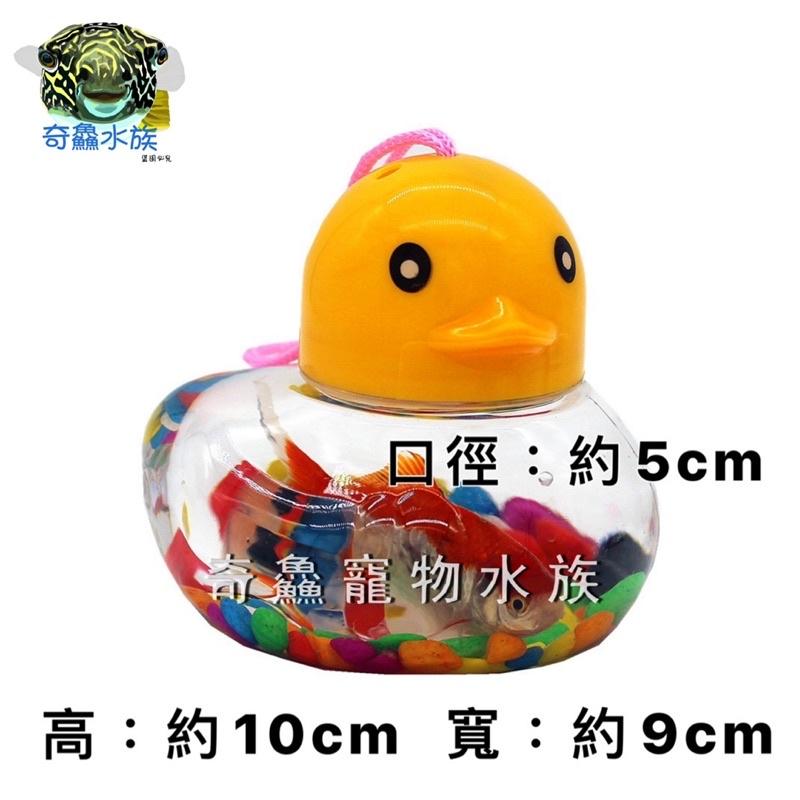 【造型飼養盒】小鴨款/蘑菇寬 小鴨飼養瓶 蘑菇飼養瓶 手提式 小型寵物 昆蟲 小魚 烏龜 迷你寵物-細節圖2