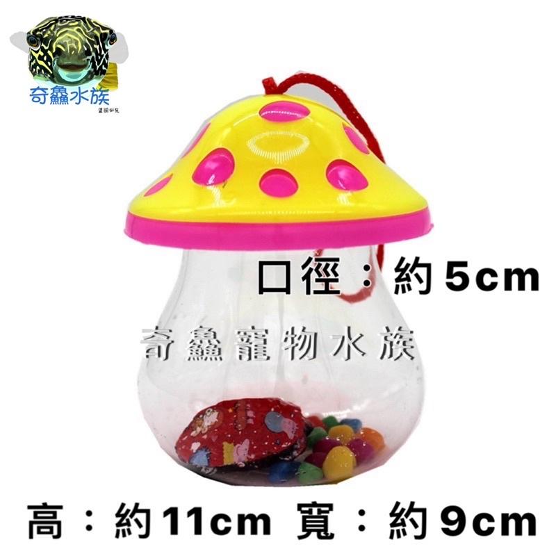 【造型飼養盒】小鴨款/蘑菇寬 小鴨飼養瓶 蘑菇飼養瓶 手提式 小型寵物 昆蟲 小魚 烏龜 迷你寵物-細節圖3