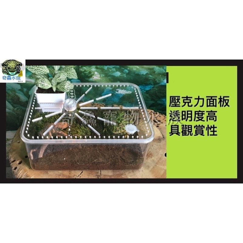 奇鱻水族【壓克力爬蟲飼養缸】爬蟲 角蛙 蝦子 守宮 生態 綠化共生 造景 美觀時尚 辦公室小屋 寵物盒 飼養盒-細節圖2