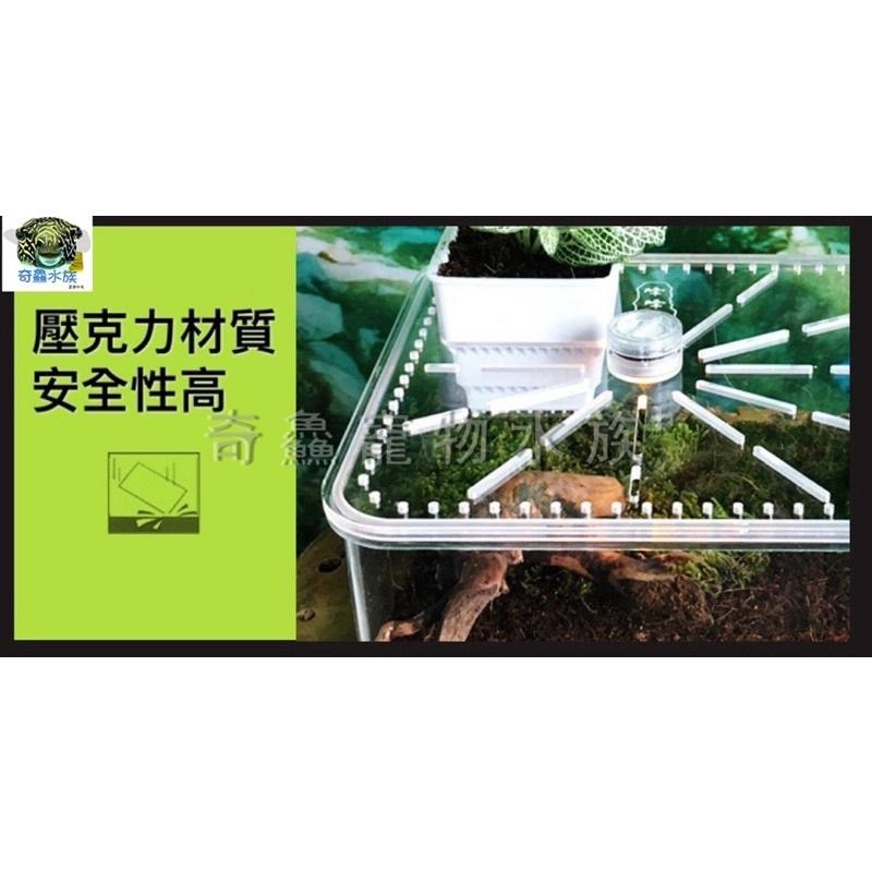 奇鱻水族【壓克力爬蟲飼養缸】爬蟲 角蛙 蝦子 守宮 生態 綠化共生 造景 美觀時尚 辦公室小屋 寵物盒 飼養盒-細節圖3