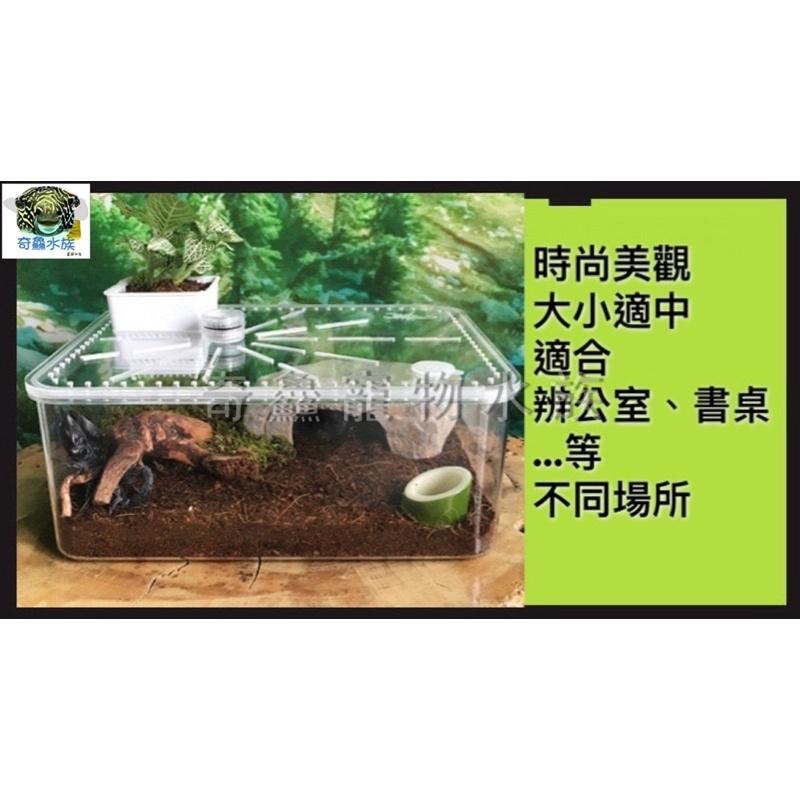 奇鱻水族【壓克力爬蟲飼養缸】爬蟲 角蛙 蝦子 守宮 生態 綠化共生 造景 美觀時尚 辦公室小屋 寵物盒 飼養盒-細節圖4