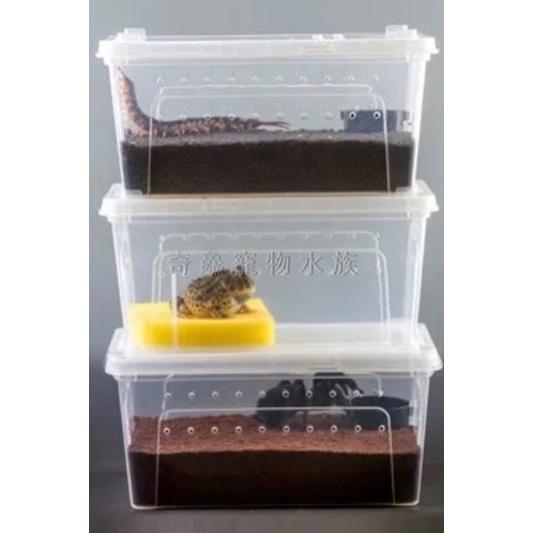 奇鱻水族【透明飼養盒】(S) 、(SS)適合小型寵物 昆蟲 爬蟲 角蛙 飼料 蚯蚓 蟋蟀 陸龜 蜘蛛 守宮-細節圖3