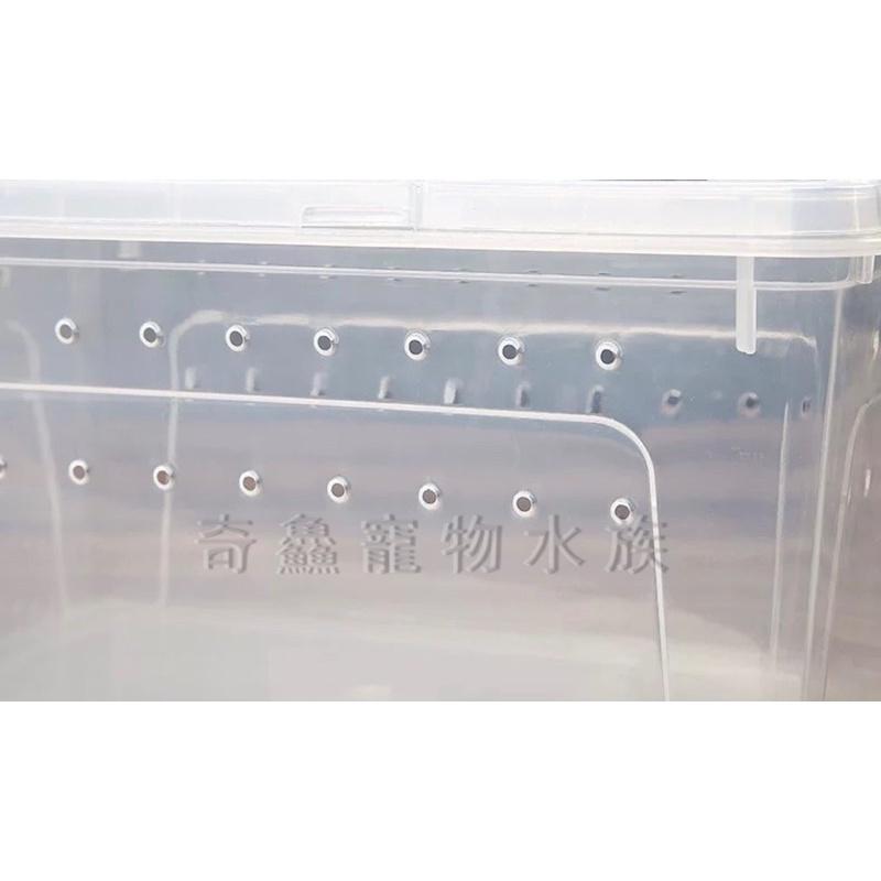 奇鱻水族【透明飼養盒】(S) 、(SS)適合小型寵物 昆蟲 爬蟲 角蛙 飼料 蚯蚓 蟋蟀 陸龜 蜘蛛 守宮-細節圖4