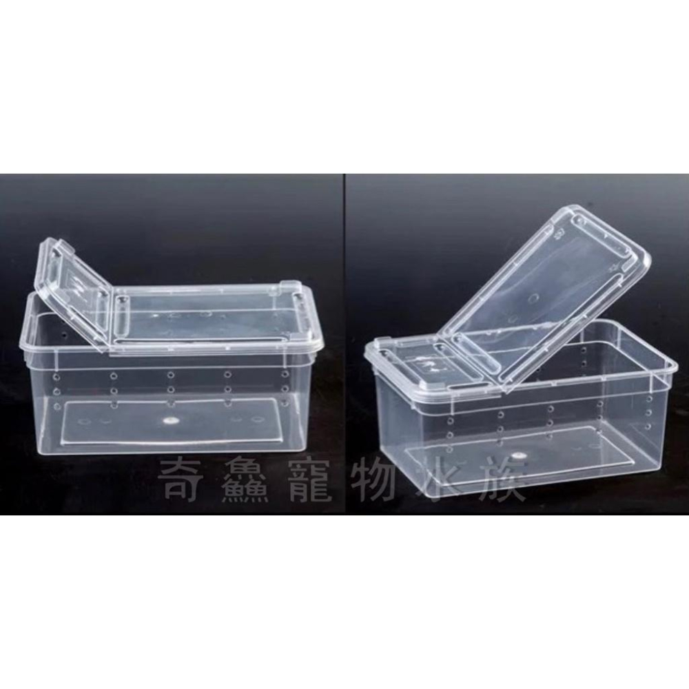 奇鱻水族【透明飼養盒】(S) 、(SS)適合小型寵物 昆蟲 爬蟲 角蛙 飼料 蚯蚓 蟋蟀 陸龜 蜘蛛 守宮-細節圖5